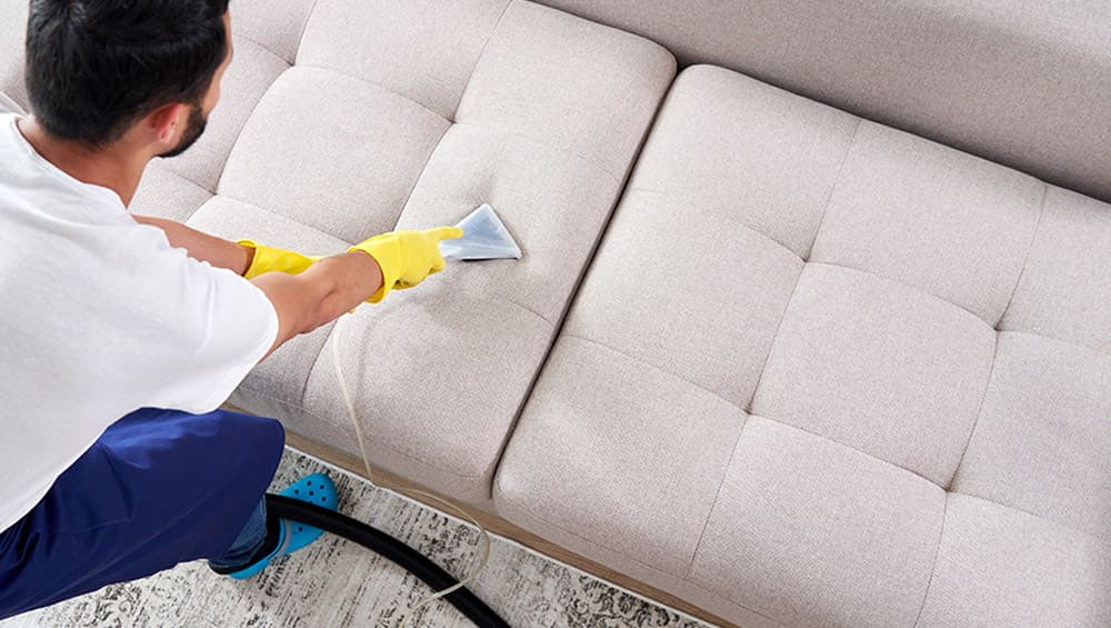 Couch cleaning services